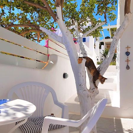Lemon Tree Maisonette - Naoussa Paros ภายนอก รูปภาพ