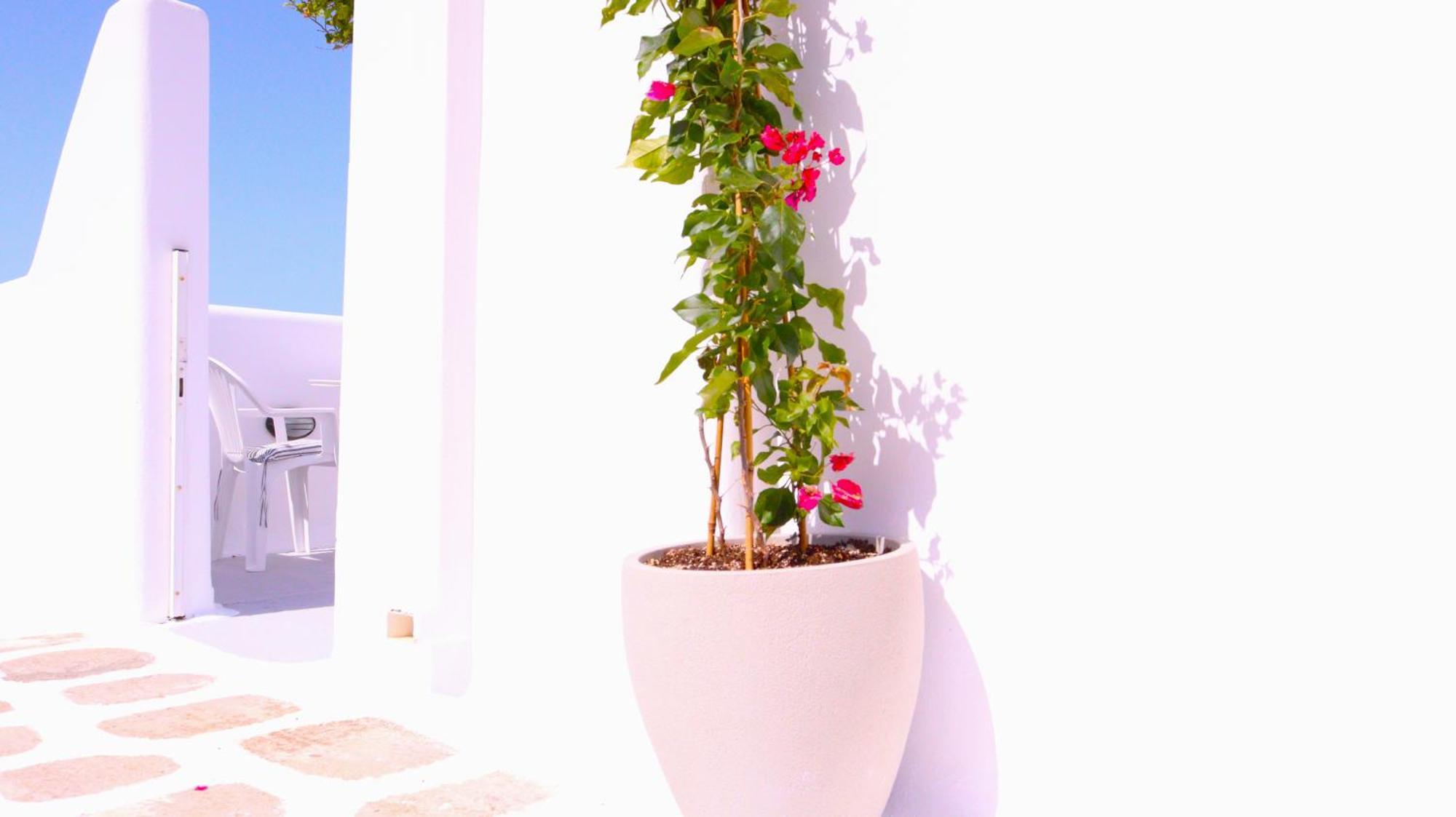 Lemon Tree Maisonette - Naoussa Paros ภายนอก รูปภาพ
