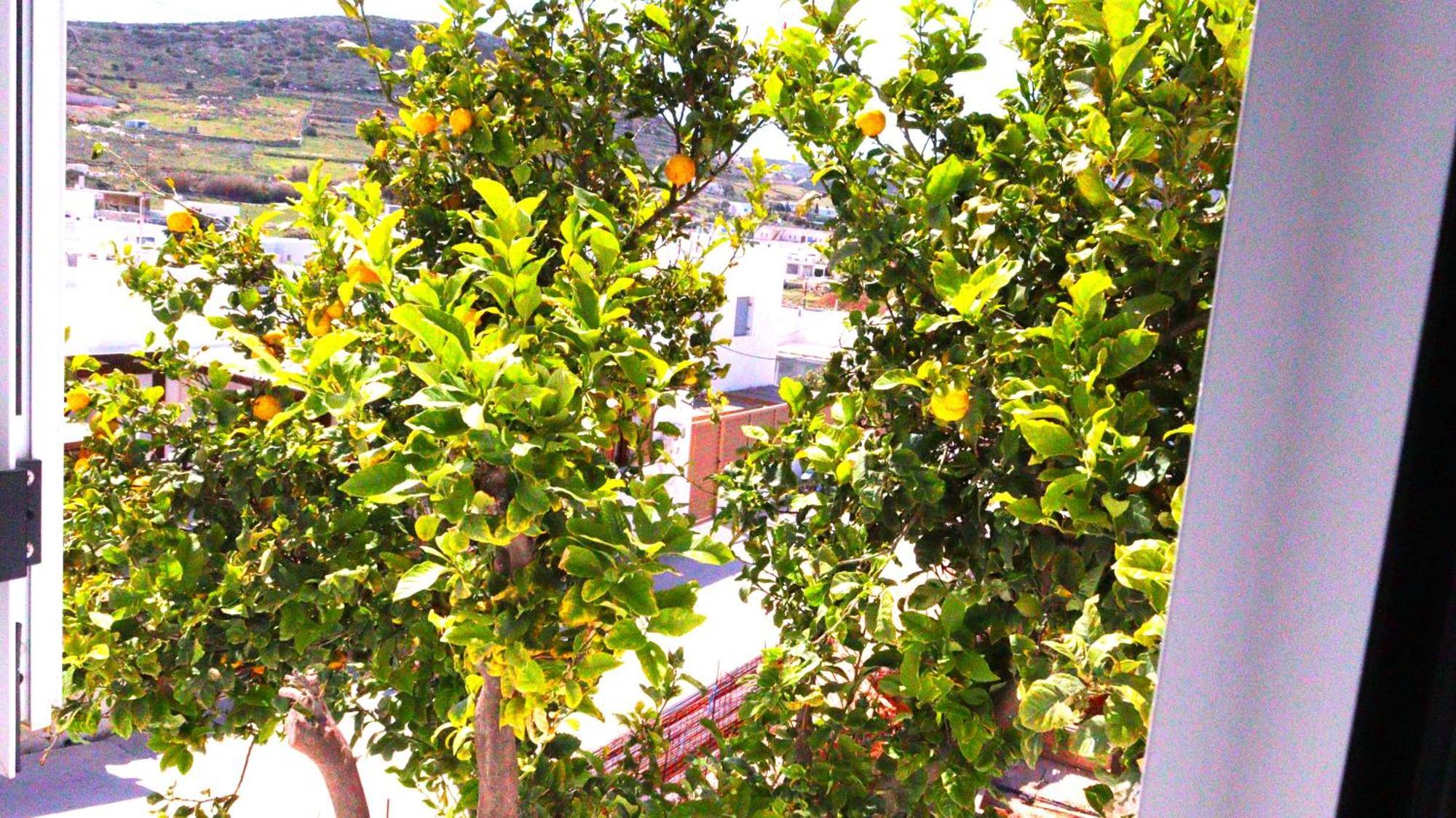 Lemon Tree Maisonette - Naoussa Paros ภายนอก รูปภาพ